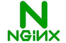 Ngnix server